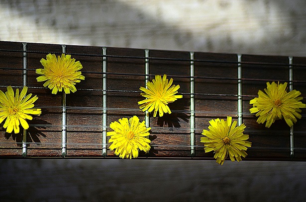 Apprendre la guitare
